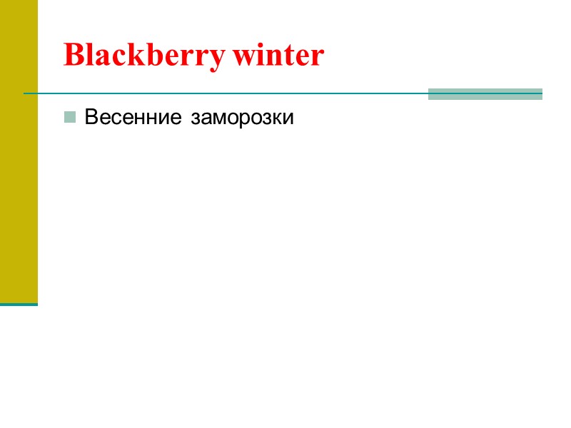 Blackberry winter Весенние заморозки